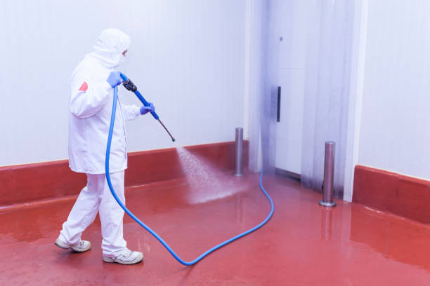 Best Warehouse Cleaning  in Montello, WI